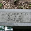 AGNES KREBS ALLEN